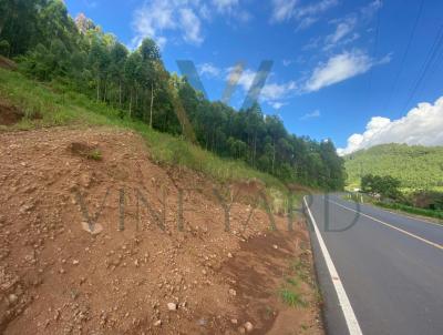 Terreno Urbano para Venda, em Baro, bairro Linha Wilmsen
