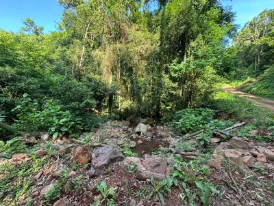 rea Rural para Venda, em Baro, bairro Cafund