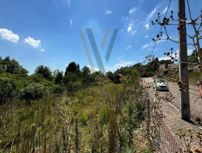 Terreno Urbano para Venda, em Baro, bairro centro