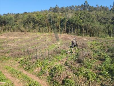rea Rural para Venda, em Baro, bairro Linha Francesa Alta