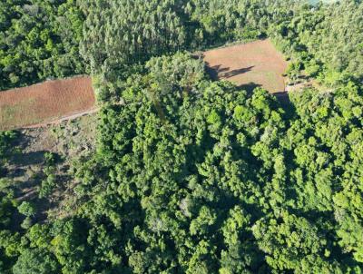 rea Rural para Venda, em So Vendelino, bairro Morro da Antena