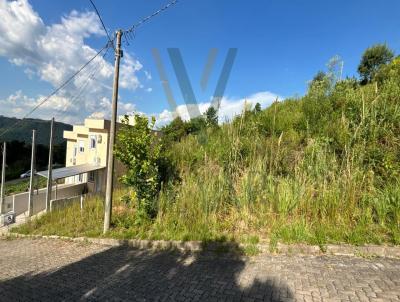 Stio para Venda, em Bento Gonalves, bairro Vila Nova II