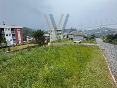 Terreno para Venda, em Carlos Barbosa, bairro Bela Vista