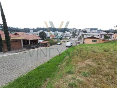 Terreno para Venda, em Garibaldi, bairro CHACARAS