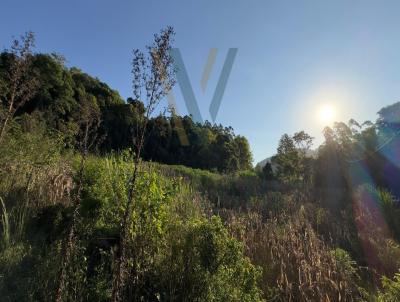 rea para Venda, em Carlos Barbosa, bairro Arco Verde