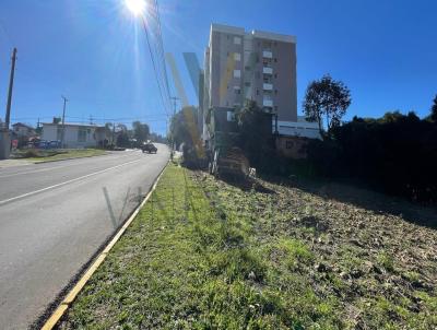 Terreno para Venda, em Carlos Barbosa, bairro Aparecida