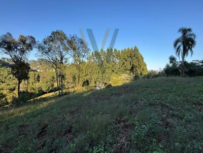rea Rural para Venda, em Baro, bairro Linha Cairu