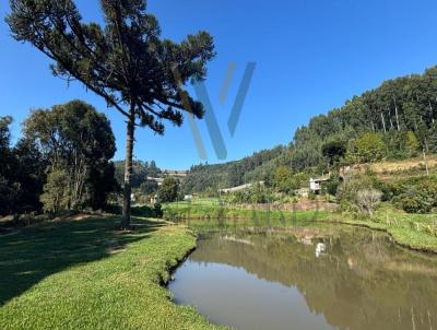 Stio para Venda, em Baro, bairro Vila Rica, 5 dormitrios, 2 banheiros, 2 vagas
