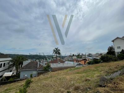 Terreno para Venda, em Carlos Barbosa, bairro Vitria