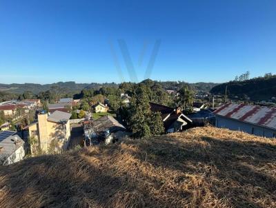 Terreno Urbano para Venda, em Baro, bairro So Jos