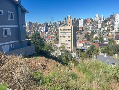 Terreno para Venda, em Bento Gonalves, bairro UNIVERSITRIO