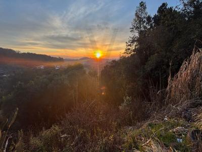 Terreno para Venda, em Garibaldi, bairro Tamandar