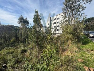 Terreno para Venda, em Garibaldi, bairro Simonaggio