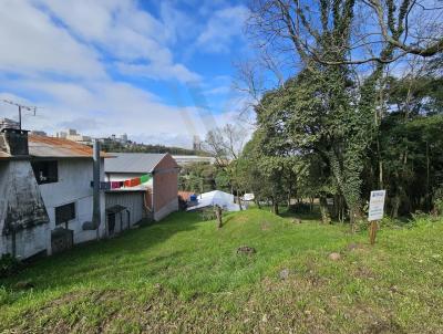 Terreno para Venda, em Bento Gonalves, bairro Cidade Alta